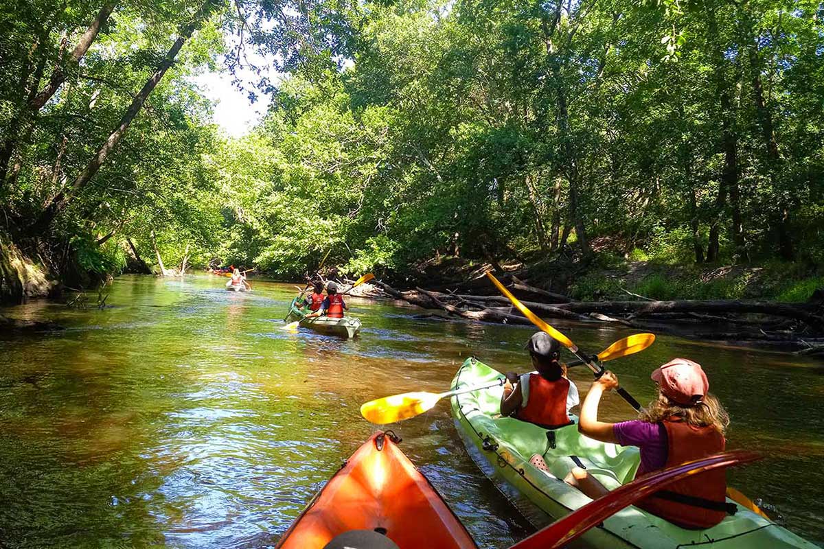 Descente de la Leyre en canoë kayak